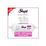 Sleepy Easy Clean Lilyum Buketi Yüzey Temizlik Havlusu&Mendili 6x100 (600 Yaprak)