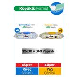 Sleepy Easy Clean Süper Yağ Çözücü&Kireç Sökücü Havlu Karma Paket 12x30 (360 Yaprak)