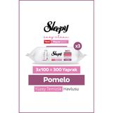 Sleepy Meyve Serisi Yüzey Temizlik Havlusu Mendili Pomelo 3x100 (300 Yaprak)