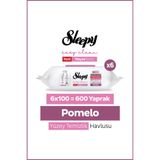 Sleepy Meyve Serisi Yüzey Temizlik Havlusu Mendili Pomelo 6x100 (600 Yaprak)