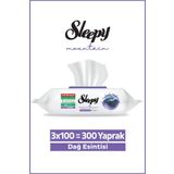 Sleepy Mountain Yüzey Temizlik Havlusu&Mendili Dağ Esintisi 3x100 (300 Yaprak)