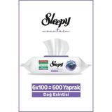Sleepy Mountain Yüzey Temizlik Havlusu&Mendili Dağ Esintisi 6x100 (600 Yaprak)