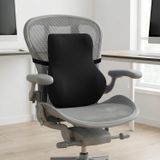 SleepyCat Pro Sırt Yastığı | Hedefli Bel Desteği | Delikli Bellek Köpüğü | Premium Yıkanabilir Naylon Kılıf | Ayarlanabilir Elastik Kayış | Sırt Ağrısı Giderici | Ofis Araba Ev Koltuğu | Siyah