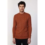 Slim Fit Bisiklet Yaka Desenli Tarçın Erkek Triko Kazak