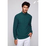 Slim Fit Dar Kesim Tam Balıkçı Yaka Desenli Erkek Triko Kazak
