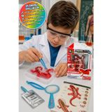 Slimy Lab Dissect It Mini Semender Laboratuvarı STEM Deney Seti 6+ Anatomi Oyuncak Eğitici