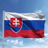 Slovakya Bayrağı 70*105 Cm