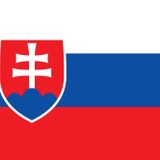 SLOVAKYA ÜLKE BAYRAĞI 45x30CM DUVAR TABLOSU ÇERÇEVESİZ PVC TABLO