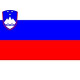 SLOVENYA ÜLKE BAYRAĞI 45x22CM DUVAR TABLOSU ÇERÇEVESİZ PVC TABLO
