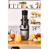 Slow Juicer Yavaş Sıkım Katı Meyve Sıkacağı