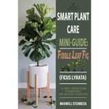 Smart Plant Care Mini-Guide: Fiddle Leaf Fig (Ficus lyrata): - Easy Tips for Thriving, Healthy Plants