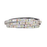 Smarter Eko 12V 2835 Şerit LED 10 Metre (2x5m Paket) - İç Mekan IP20 Aydınlatma, 9.6W/Mt 8mm 60 LED, (3000K / 6500K / 10000K) (10000K, 10 Metre)