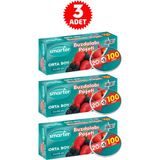 Smarter Orta Boy 3x100 Adet Buzdolabı Poşeti