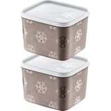 Smartware 2'li Set No Frost Saklama Kabı Terra 1250 ml
