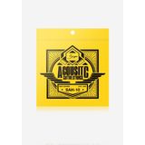 Smiger Akustik Gitar Teli Sah-010