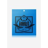 Smiger Akustik Gitar Teli Sah-012