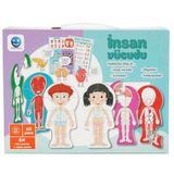Smile Games İnsan Vücudu Puzzle 60 Parça