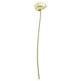 SMYCKA beyaz 51 cm yapay çiçek - 80606038 | IKEA 51 cm yapay çiçek