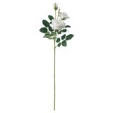 SMYCKA yapay çiçek, beyaz beyaz 65 cm