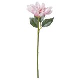 SMYCKA yapay çiçek, pembe pembe 30 cm