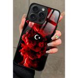 Snacase Apple iPhone 11 Pro ile Uyumlu Türk Bayrağı Tasarımlı Glossy Premium Kılıf, Çift Katmanlı, Siyah