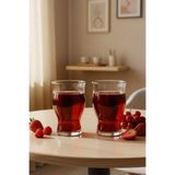 Snippy Duo - 2'li Meşrubat ve Kokteyl Bardağı Büyük Boy Cam Bardak 500 ml