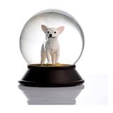 Snoowg Cam Ve Reçine Altın Patiler Köpek Chihuahua (Beyaz) Kar Küresi Hediye