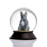 SNOOWG Cam Ve Reçine Altın Patiler Köpek French Bulldog (Gri) Kar Küresi Hediye