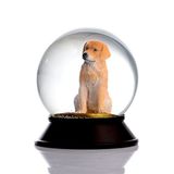 SNOOWG Cam Ve Reçine Altın Patiler Köpek Golden Retriever Kar Küresi Hediye