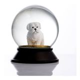 Snoowg Cam Ve Reçine Altın Patiler Köpek Maltese Terrier Kar Küresi Hediye