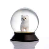 SNOOWG Cam Ve Reçine Altın Patiler Köpek Pomeranian Boo (Beyaz) Kar Küresi Hediye