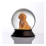Snoowg Cam Ve Reçine Altın Patiler Köpek Toy Poodle (Kayısı) Kar Küresi Hediye