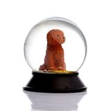 SNOOWG Cam Ve Reçine Altın Patiler Köpek Toy Poodle (tarçın) Kar Küresi Hediye
