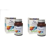 Snt Max Immun Multivitamin 40 Kapsül 2 Adet - --