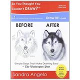 So You Thought You Couldn't Draw?: Draw 101 Home Study Course Workbook: Level 101 (30 Minute Art Series) by Angelo, Sandra McFall (2008) Paperback
