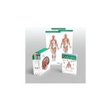 Sobotta Atlas Of Anatomy, 4 Volume Set 17th Ed.,