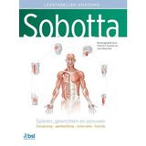 Sobotta Tabellen over spieren, gewrichten en zenuwen: Atlas van de menselijke anatomie