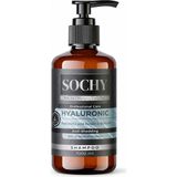 Sochy Hyaluronic Acid Saç Şampuanı 1000 ml Tuzsuz Nemlendirici Besleyici Collagen Keratin Biotin B7