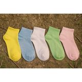 Sockshion Kadın Soft Renkli Pamuklu Extra Rahat Ve Yumuşak Kolej Çorap Seti 5 Çift - Asorti - 35 - 40
