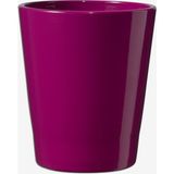 Soendgen 5 Adet Merina Candy Orkide Saksısı Fuşya 15 cm