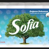 SOFIA PAMUK KATKILI 8'Lİ KAĞIT HAVLU