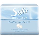 Sofia Skin Love Mini Mendil 75'Li 2 Adet