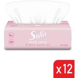 Sofia Skin Love Pudralı Mendil 100'lü 12 Paket