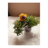 SOFT 0-3 yaş az saçlı ve saçsız Handmade bebek tokası Mor Çiçekli Sarı Şapka