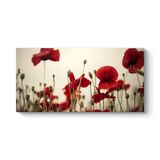 Soft Gelincik Tablosu 120 x 60