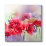 Soft Gelincikler Tablosu 90 x 90