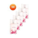 Soft Musk Kadın Parfüm Edt 50 Ml 5'li Set Çiçeksi