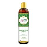 Softem 400 ml Koenzim Q10 Isırgan Şampuanı
