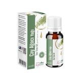 Softem Çay Ağacı Yağı 20Ml |%100 Saf Uçucu Yağ | Tea Tree Oil | Cilt Bakımında Etkili Doğal Antiseptik | Sivilceye Eğilimli Ciltler İçin | Buhurdanlıkta Kullanıma Uygun