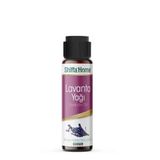 Softem Lavanta Yağı 20 Ml | Aromaterapi Uyumlu Saf Uçucu Yağ | Cilt Bakım Yağı | Uyku Destekleyici, Masaj ve Saç Bakımı İçin Doğal Lavanta Yağı, Buhar Distilasyonu ile Elde Edilmiş